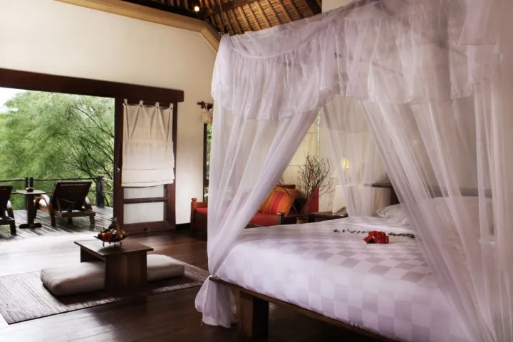 Mangrove Suite — photo 1