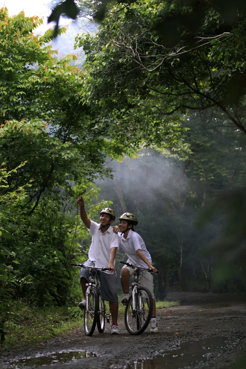 Cultural tours and excursions