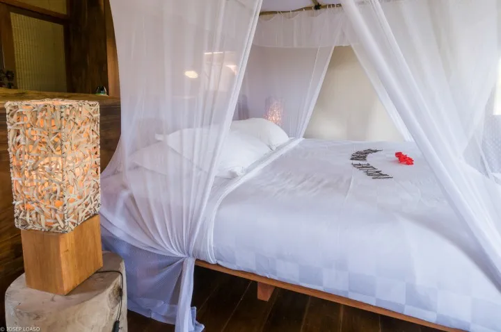 Bay View Family Suite — photo 1