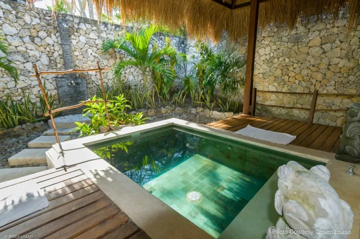 Mangrove Suite — photo 3