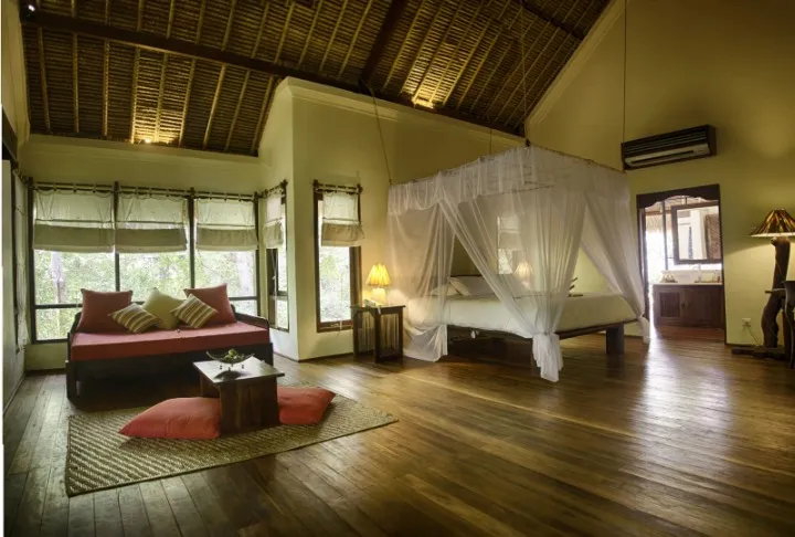 Mangrove Suite — photo 6
