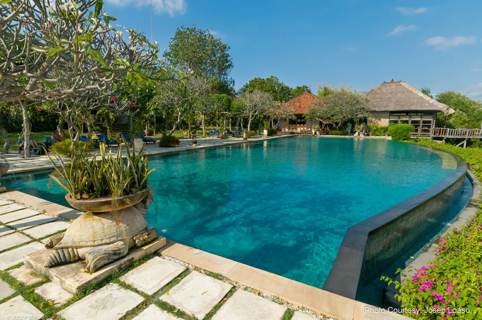 Infinity pool and hot spring plunge pool