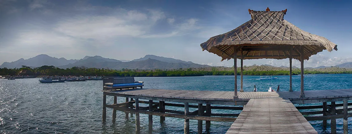 The jetty at Naya Gawana — photo 1