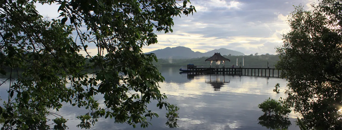 The jetty at Naya Gawana — photo 4